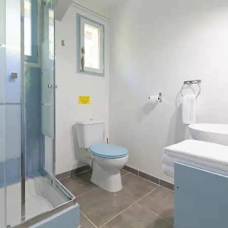 De Charme Climatise, Son Jacuzzi - Privatif Et La Piscine De La Maison Bleue Du Gers 4* Savignac-Mona